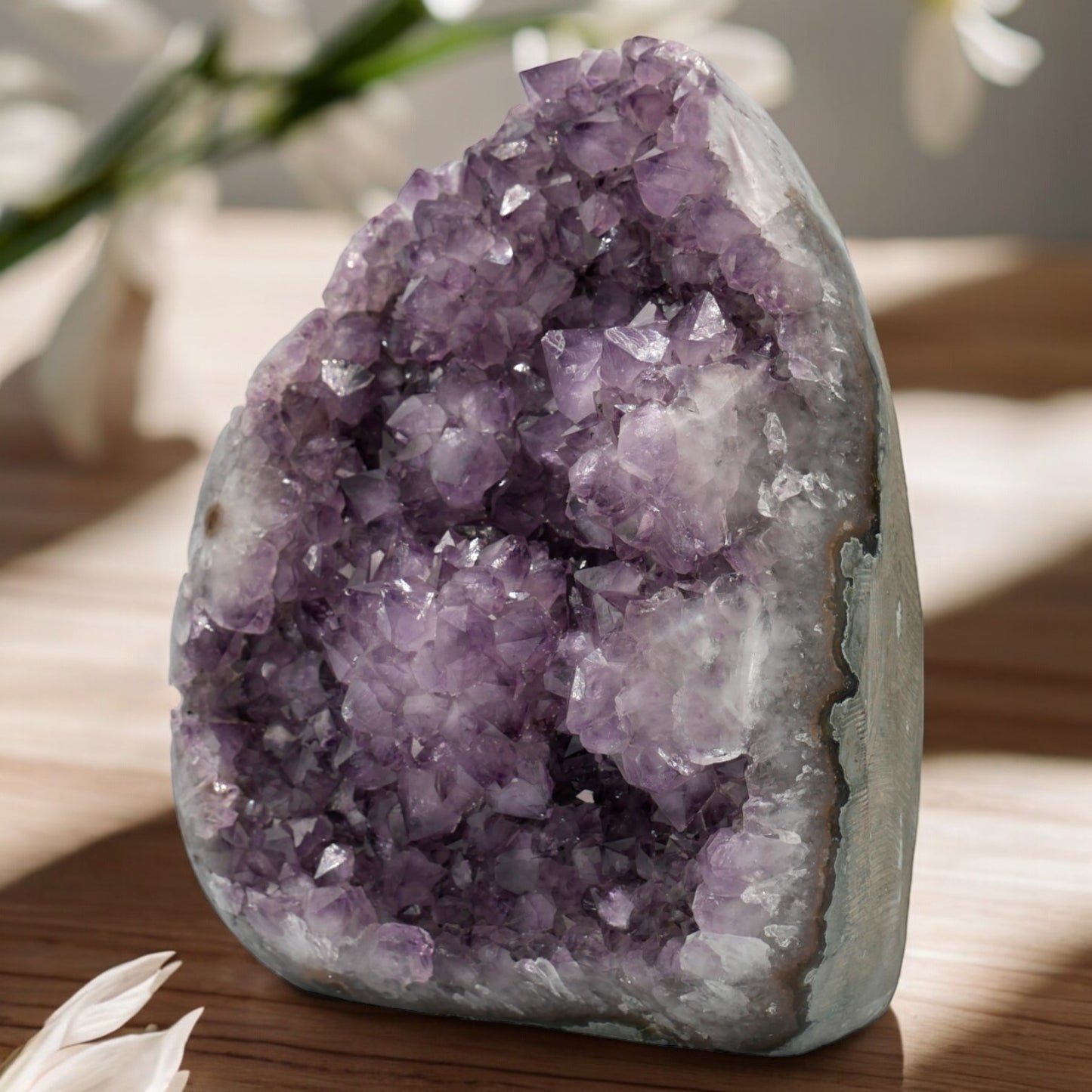 31.47 lbs Unique Collectors Quality Amethyst Geode - Large Natural Deep Purple Crystal Cluster Stone from Uruguay